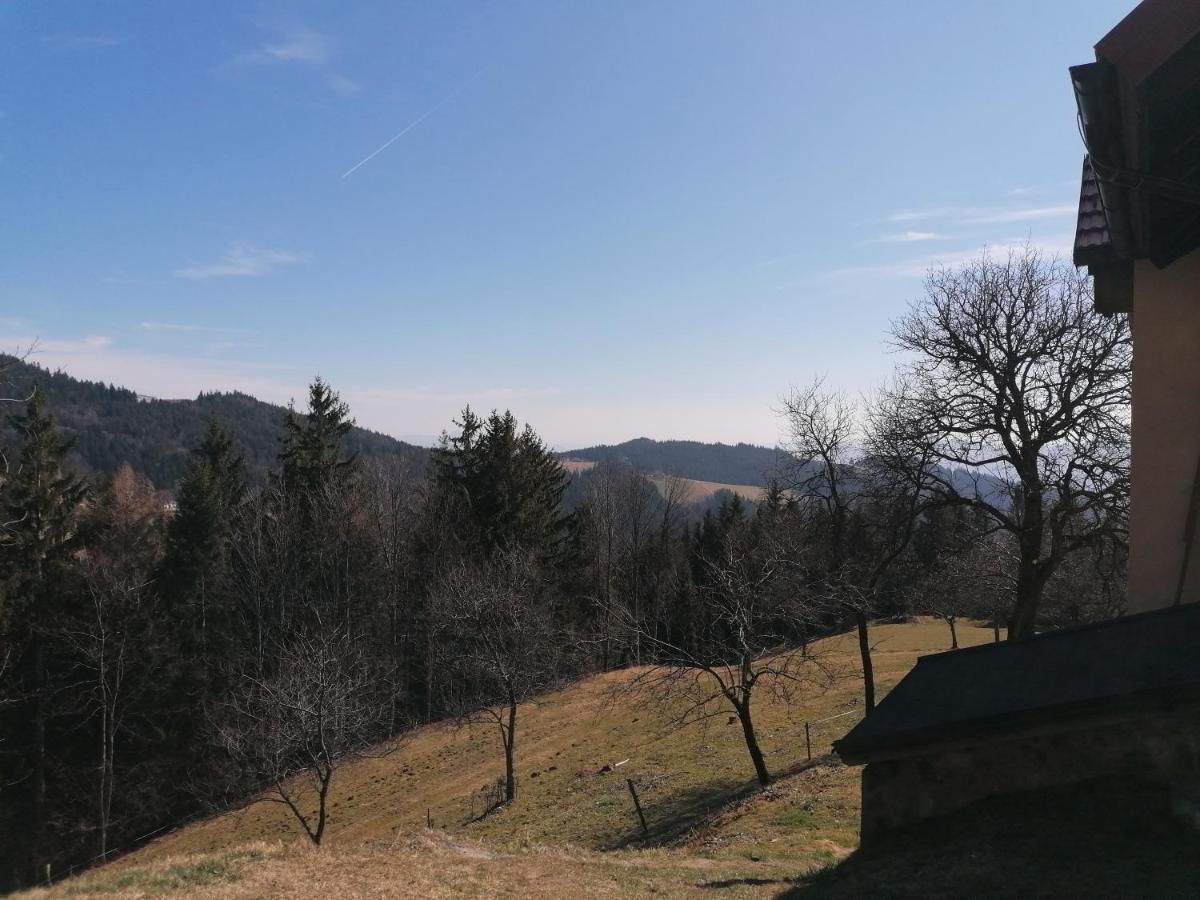 Apartment House Koprivnik Zreče Zewnętrze zdjęcie