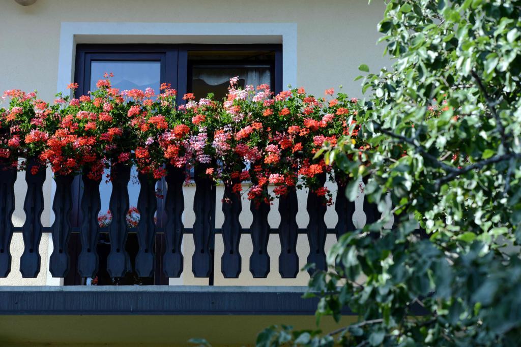 Apartment House Koprivnik Zreče Zewnętrze zdjęcie