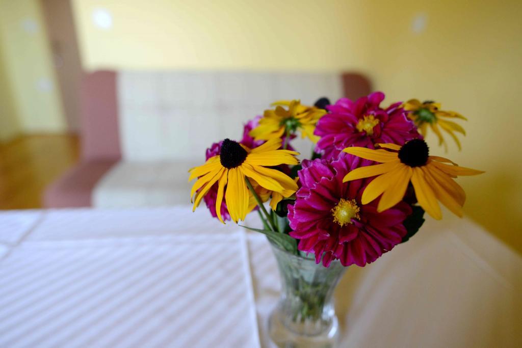 Apartment House Koprivnik Zreče Zewnętrze zdjęcie